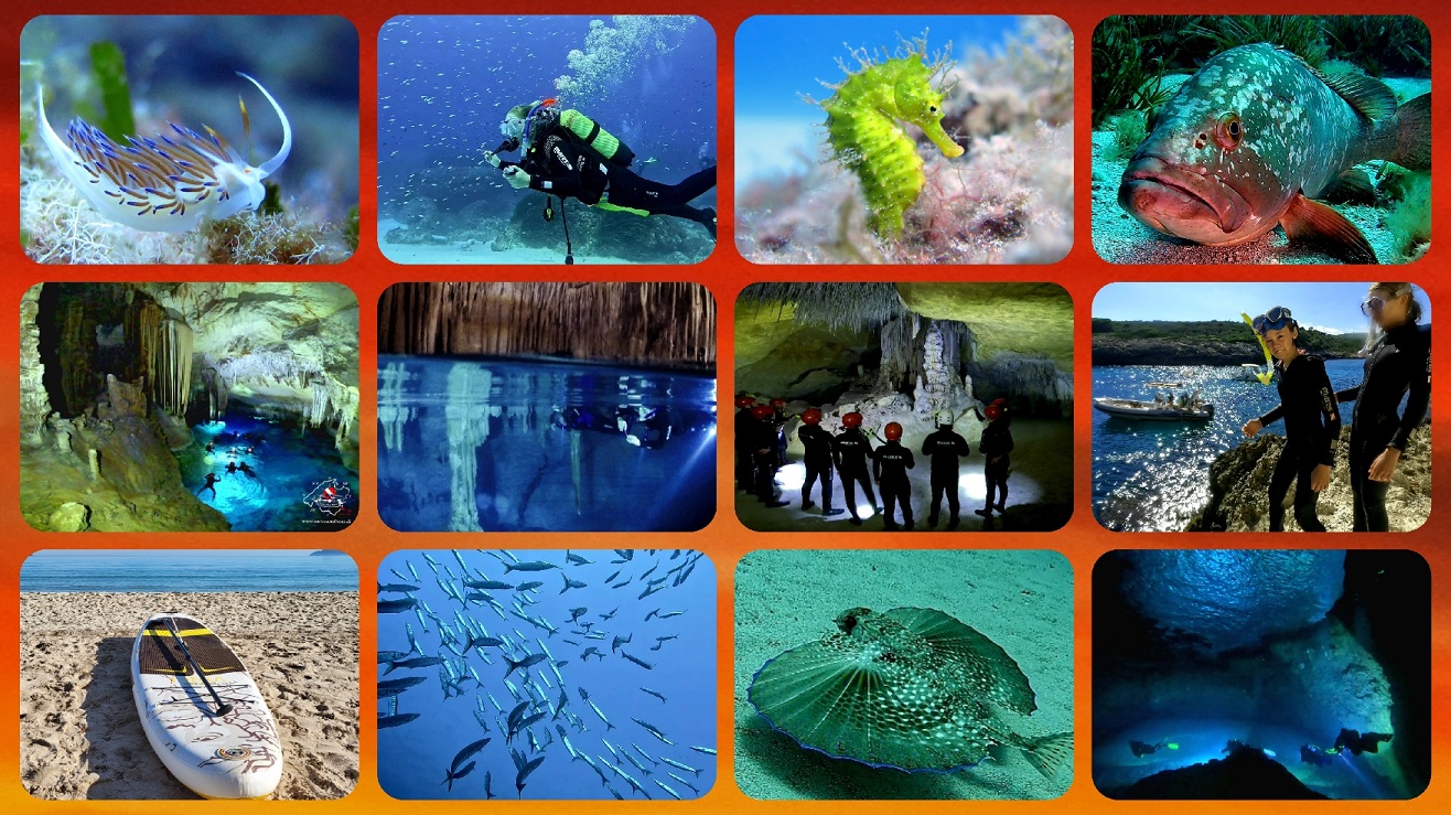 Tauchen & Abenteuer-Aktivitäten auf Mallorca Tauchen & Abenteuer-Aktivitäten auf Mallorca