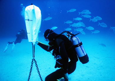 PADI Advanced Open Water Diver auf Mallorca machen - East Coast Divers Mallorca