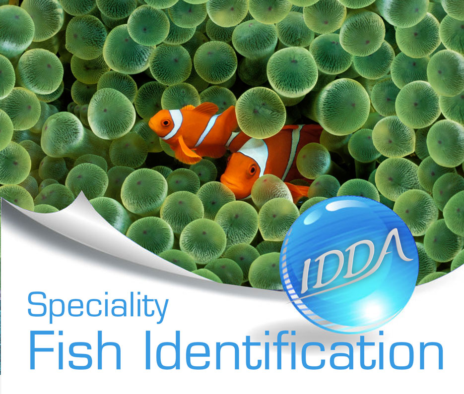 IDDA Fish Identifikation